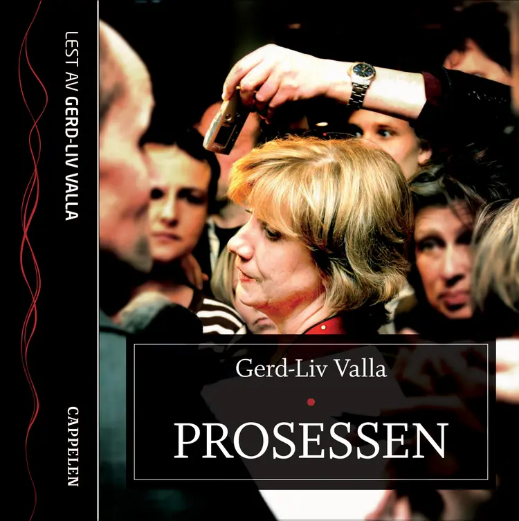 Omslag Prosessen av Gerd-Liv Valla (Lydbok)