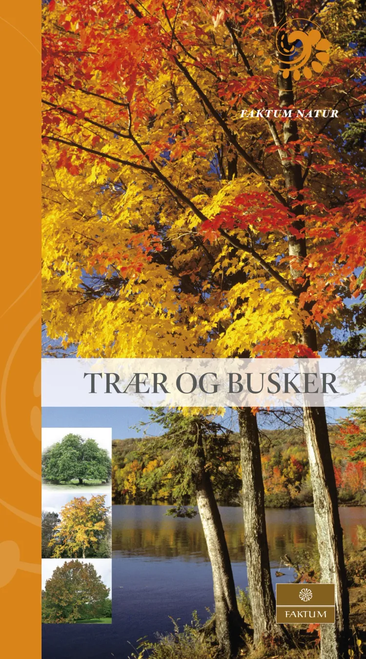 Omslag Trær og busker av Allen Coombes (Innbundet)
