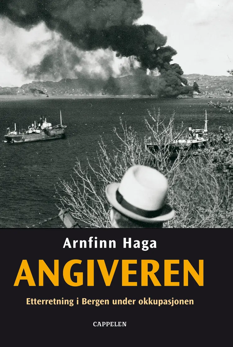 Omslag Angiveren av Arnfinn Haga (Innbundet)