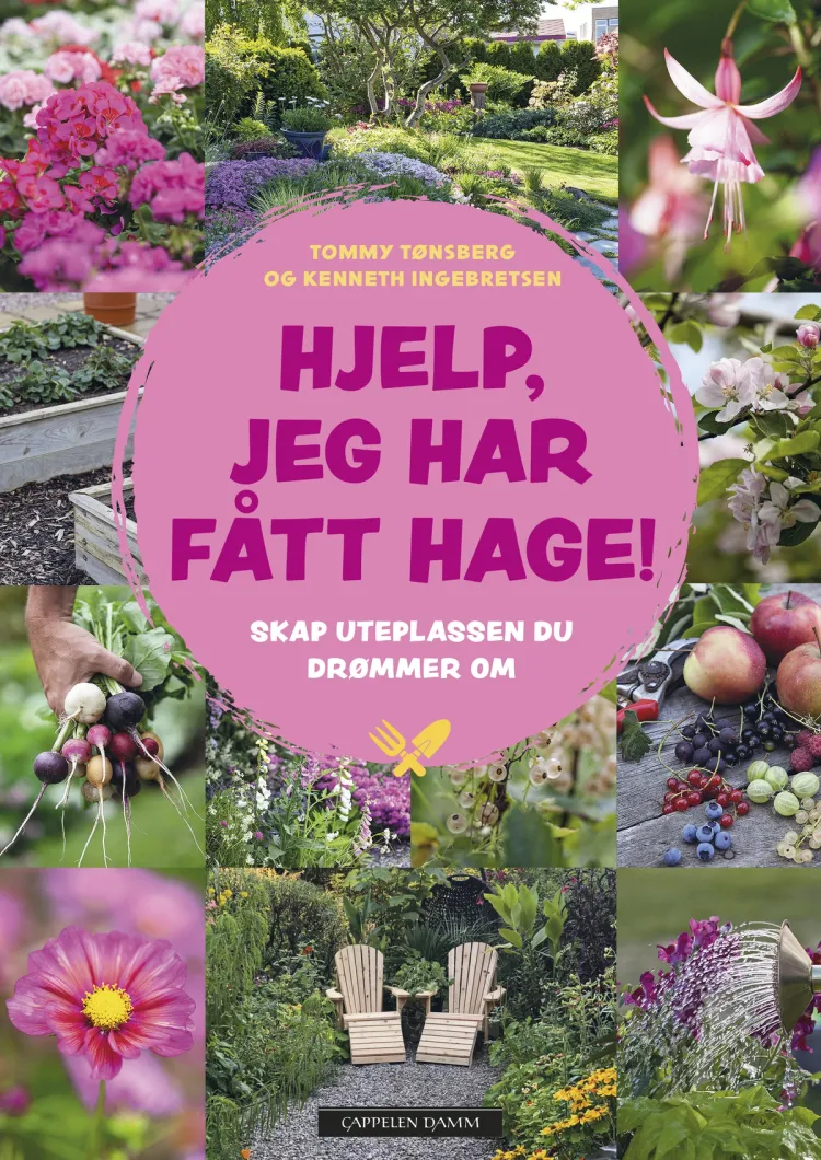 Omslag Hjelp, jeg har fått hage! av Kenneth Ingebretsen og Tommy Tønsberg (Innbundet)