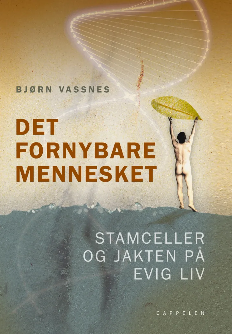 Omslag Det fornybare mennesket av Bjørn Vassnes (Innbundet)