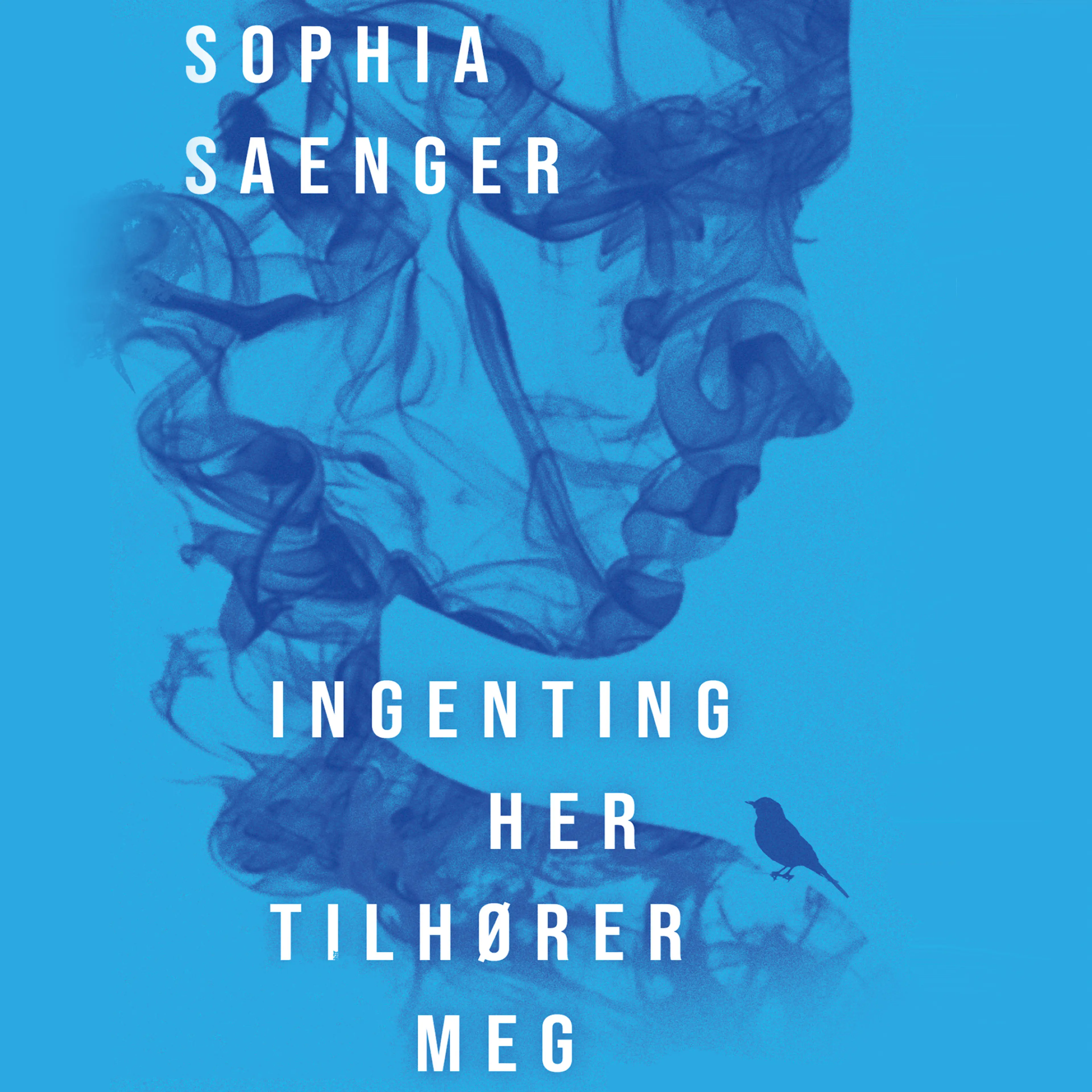 Omslag Ingenting her tilhører meg av Sophia Saenger (Lydbok)
