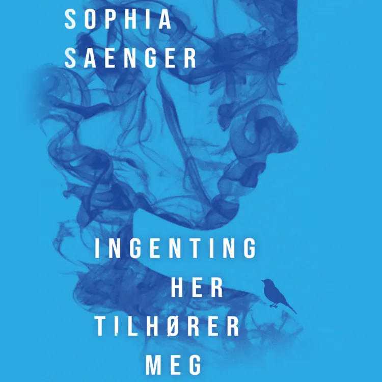 Omslag Ingenting her tilhører meg av Sophia Saenger (Lydbok)