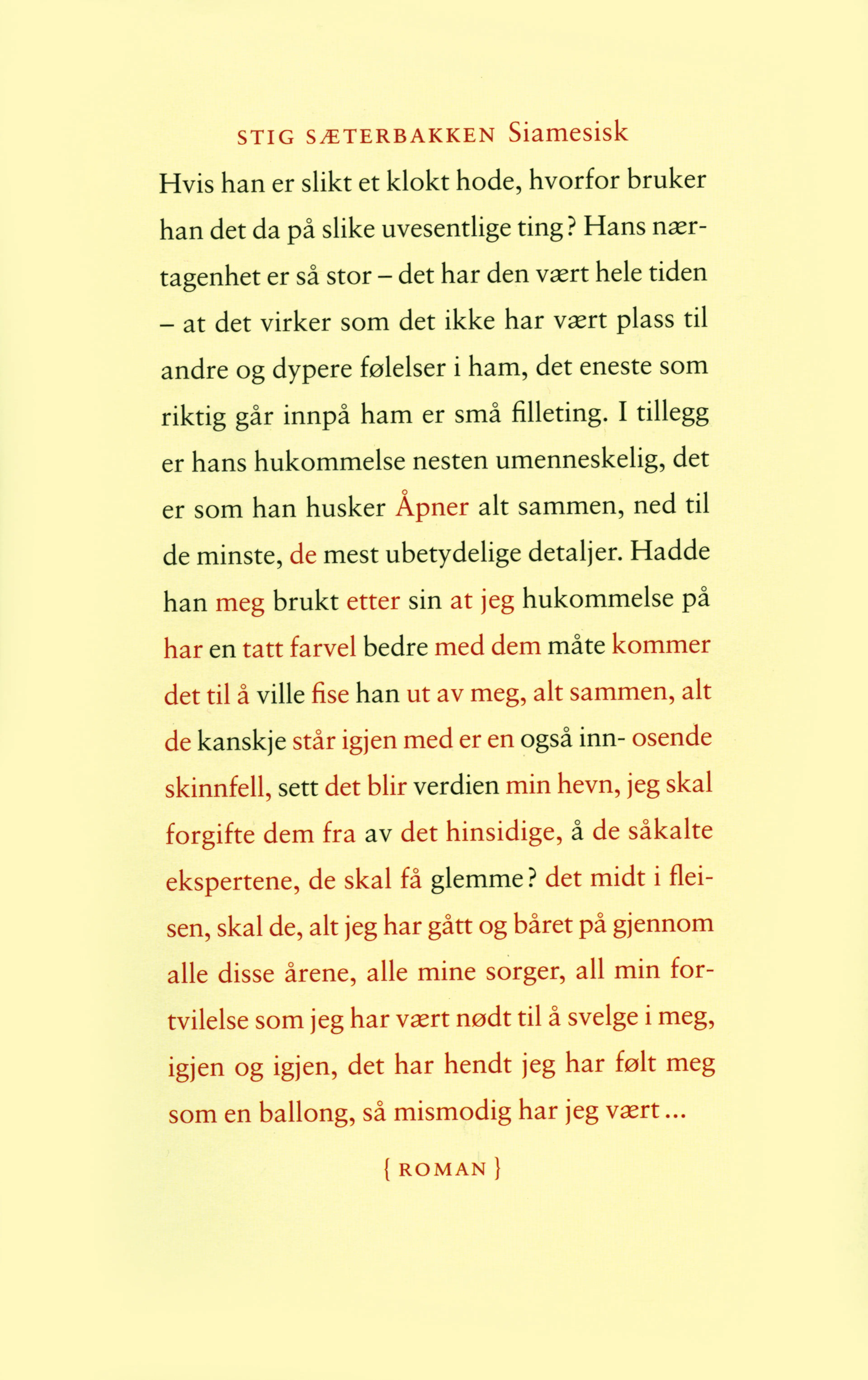Omslag Siamesisk av Stig Sæterbakken (Ebok)