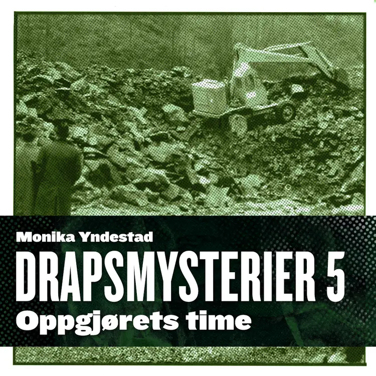Omslag Oppgjørets time av Monika N. Yndestad (Lydbok)