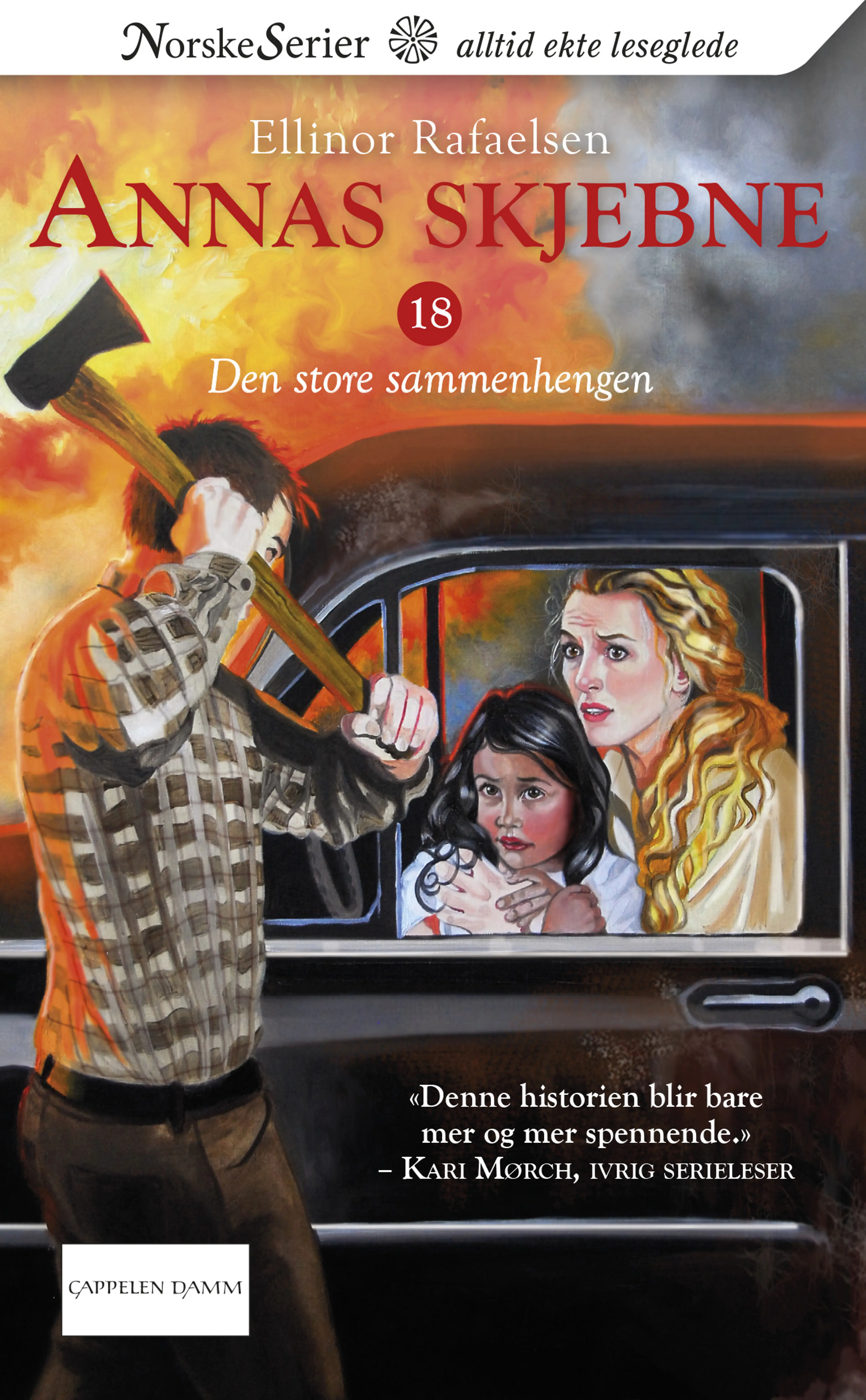 Omslag Den store sammenhengen av Ellinor Rafaelsen (Heftet)
