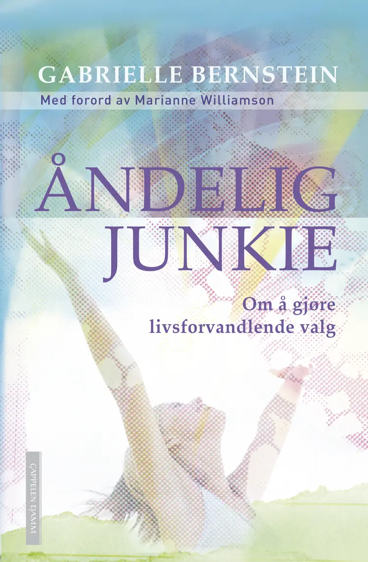 Omslag Åndelig Junkie av Gabrielle Bernstein (Innbundet)