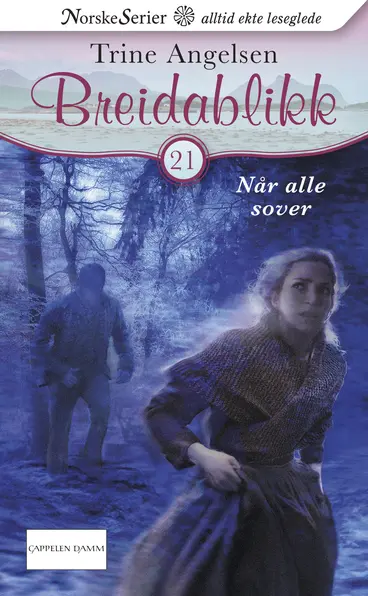 Omslag Når alle sover av Trine Angelsen (Ebok)