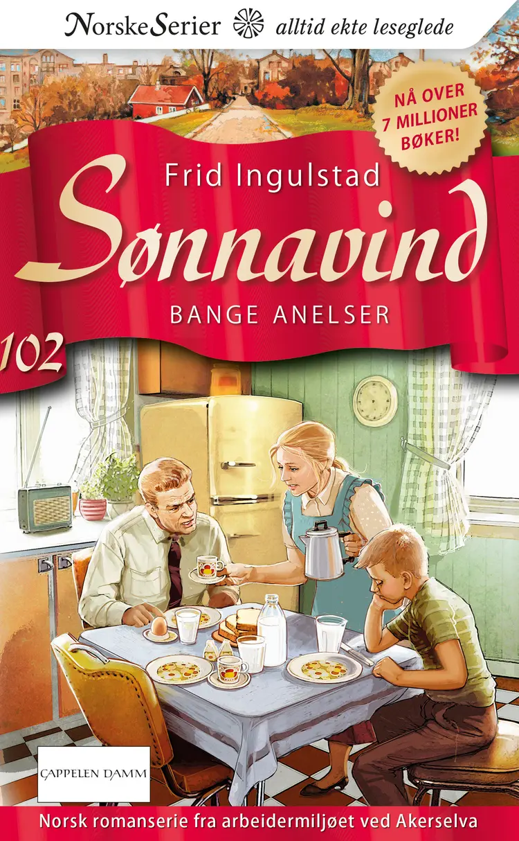 Omslag Bange anelser av Frid Ingulstad (Ebok)