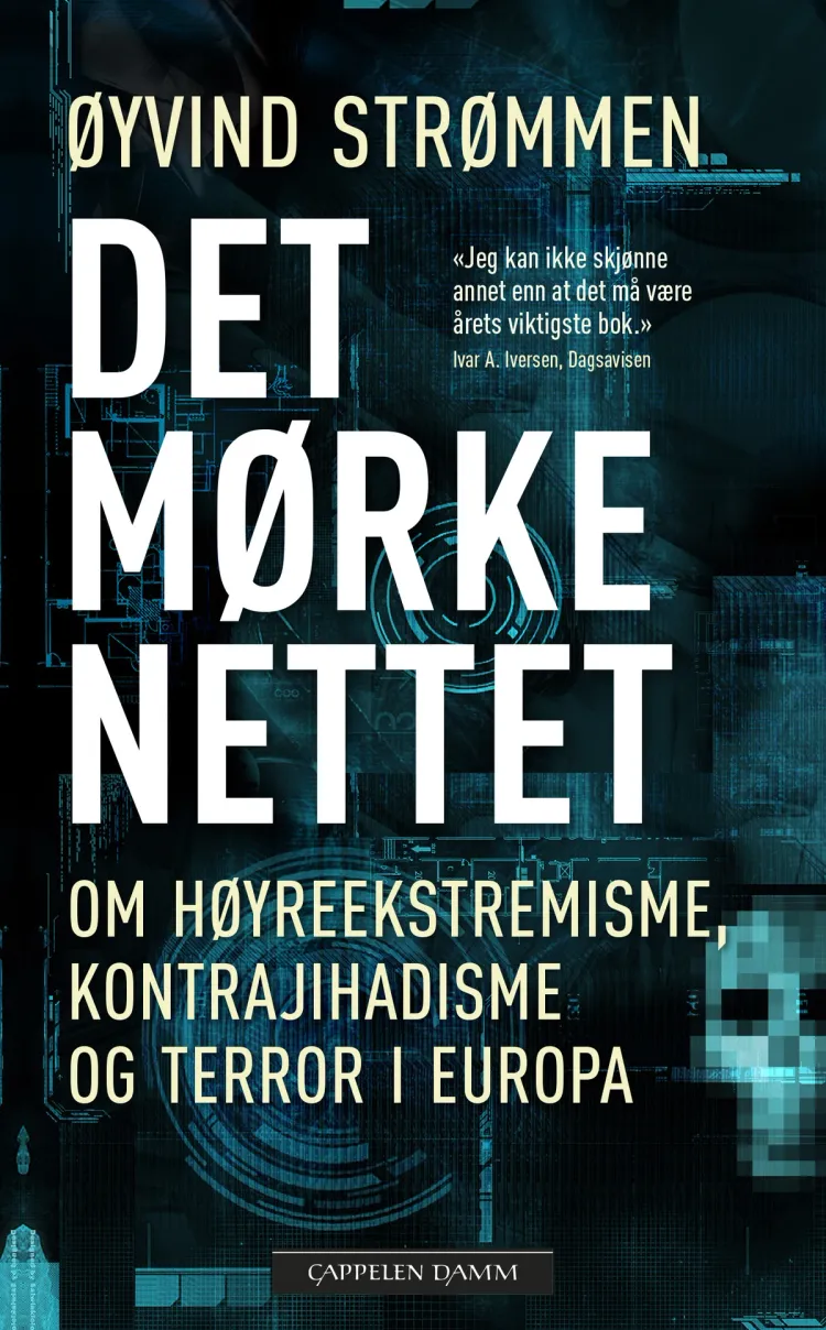 Omslag Det mørke nettet av Øyvind Strømmen (Heftet)