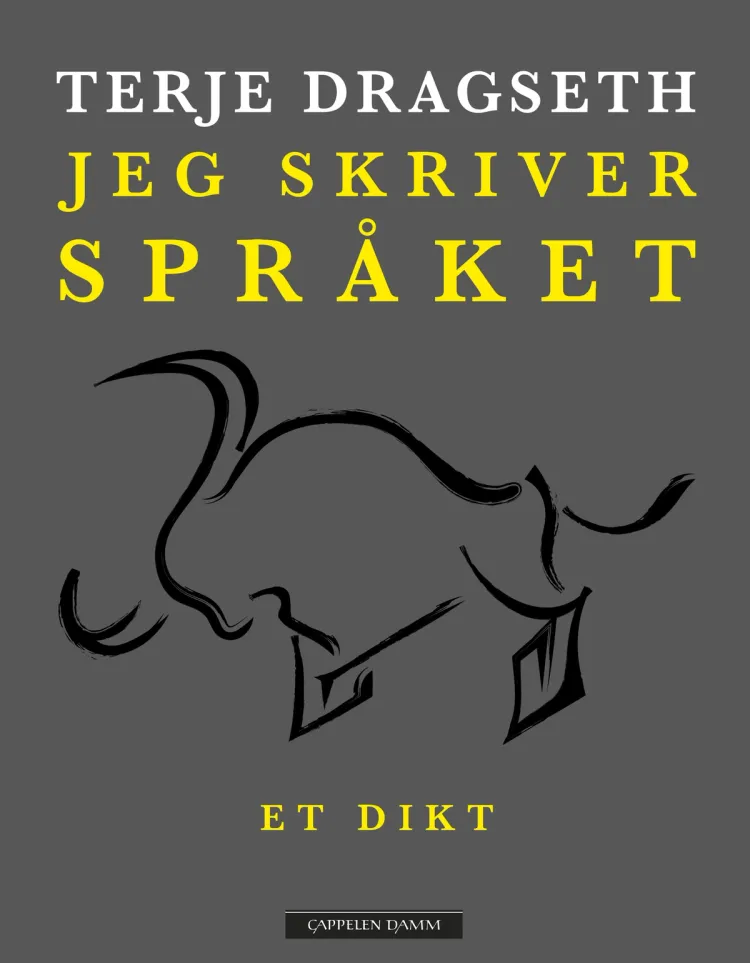 Omslag Jeg skriver språket av Terje Dragseth (Innbundet)