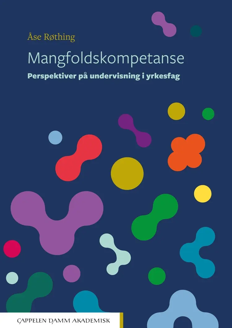 Omslag Mangfoldskompetanse av Åse Røthing (Heftet)