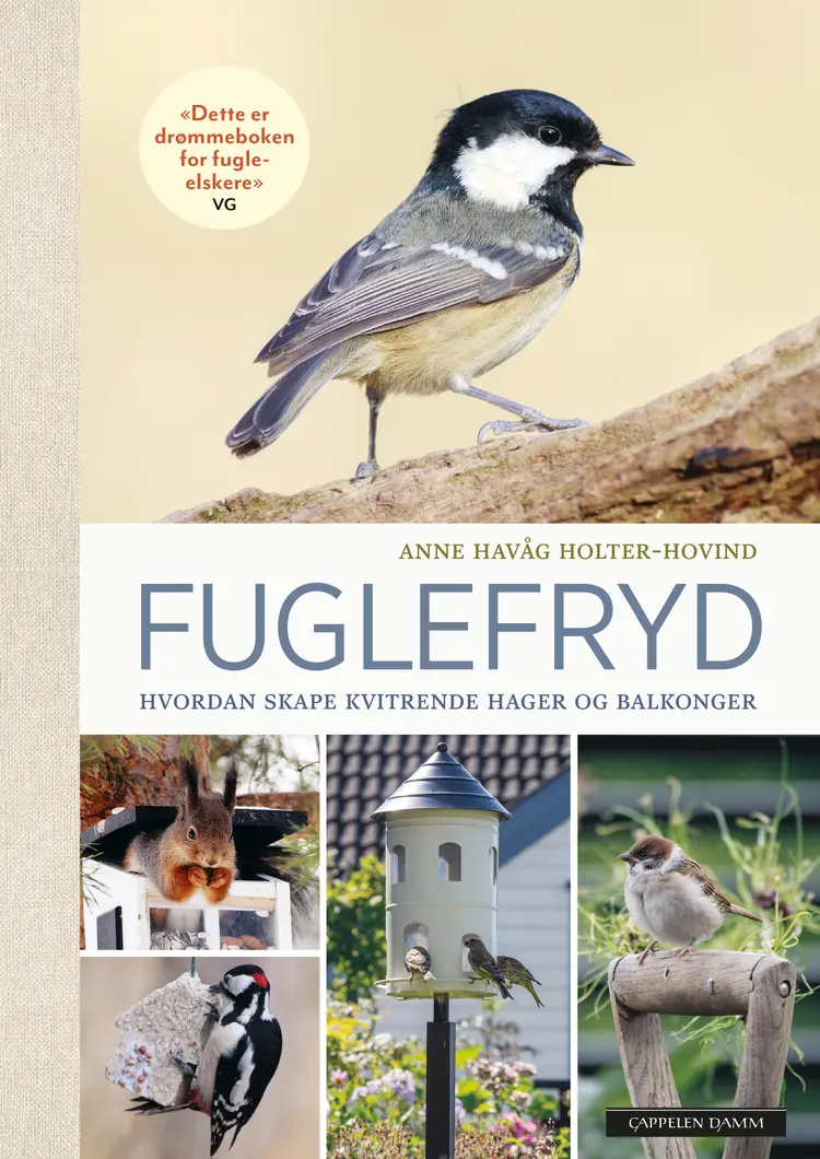 Omslag Fuglefryd av Anne Havåg Holter-Hovind (Innbundet)