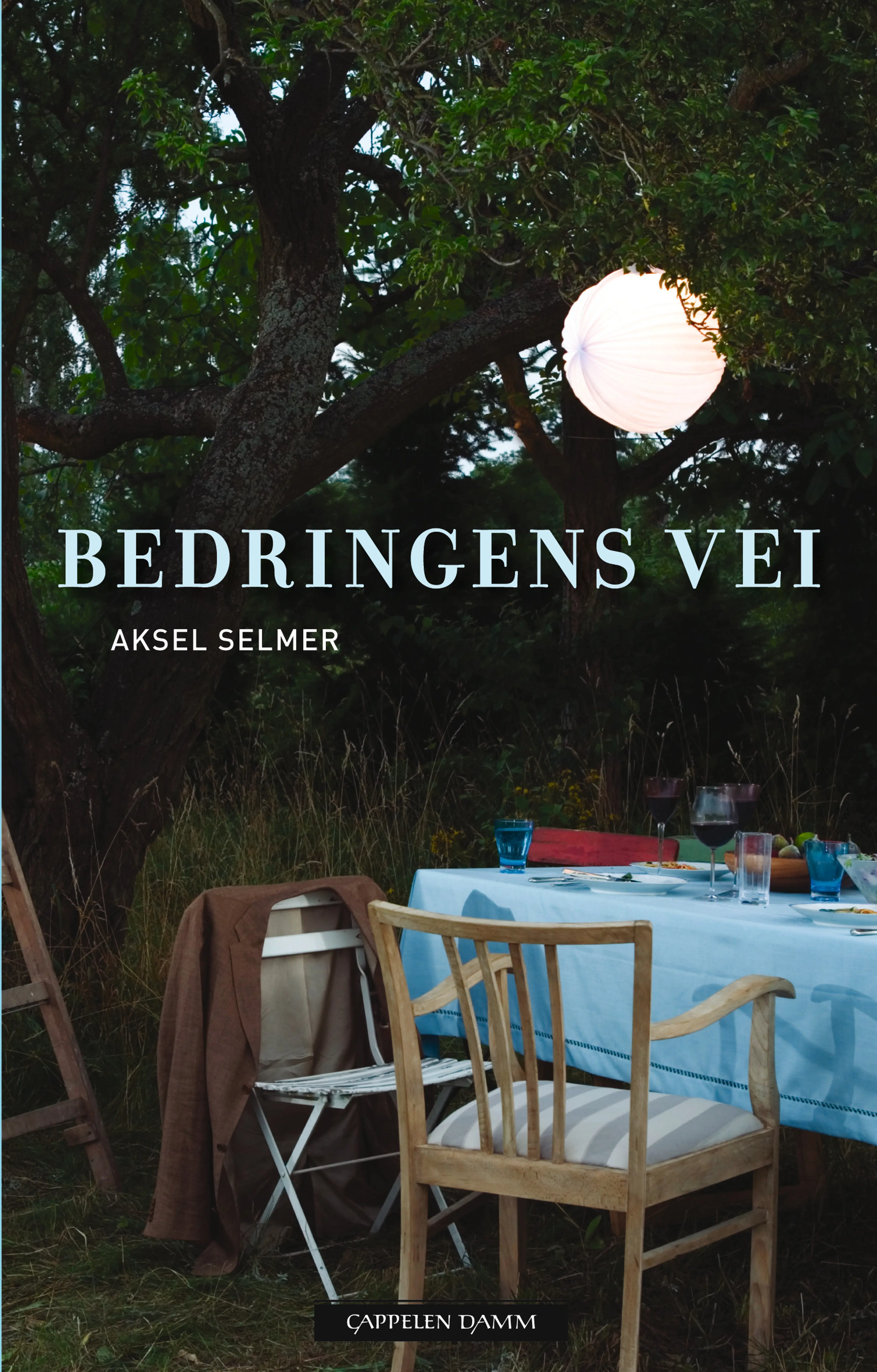 Omslag Bedringens vei av Aksel Selmer (Ebok)