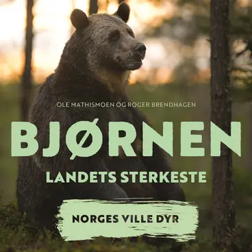 Omslag Bjørnen - Landets sterkeste av Roger Brendhagen og Ole Mathismoen (Lydbok)