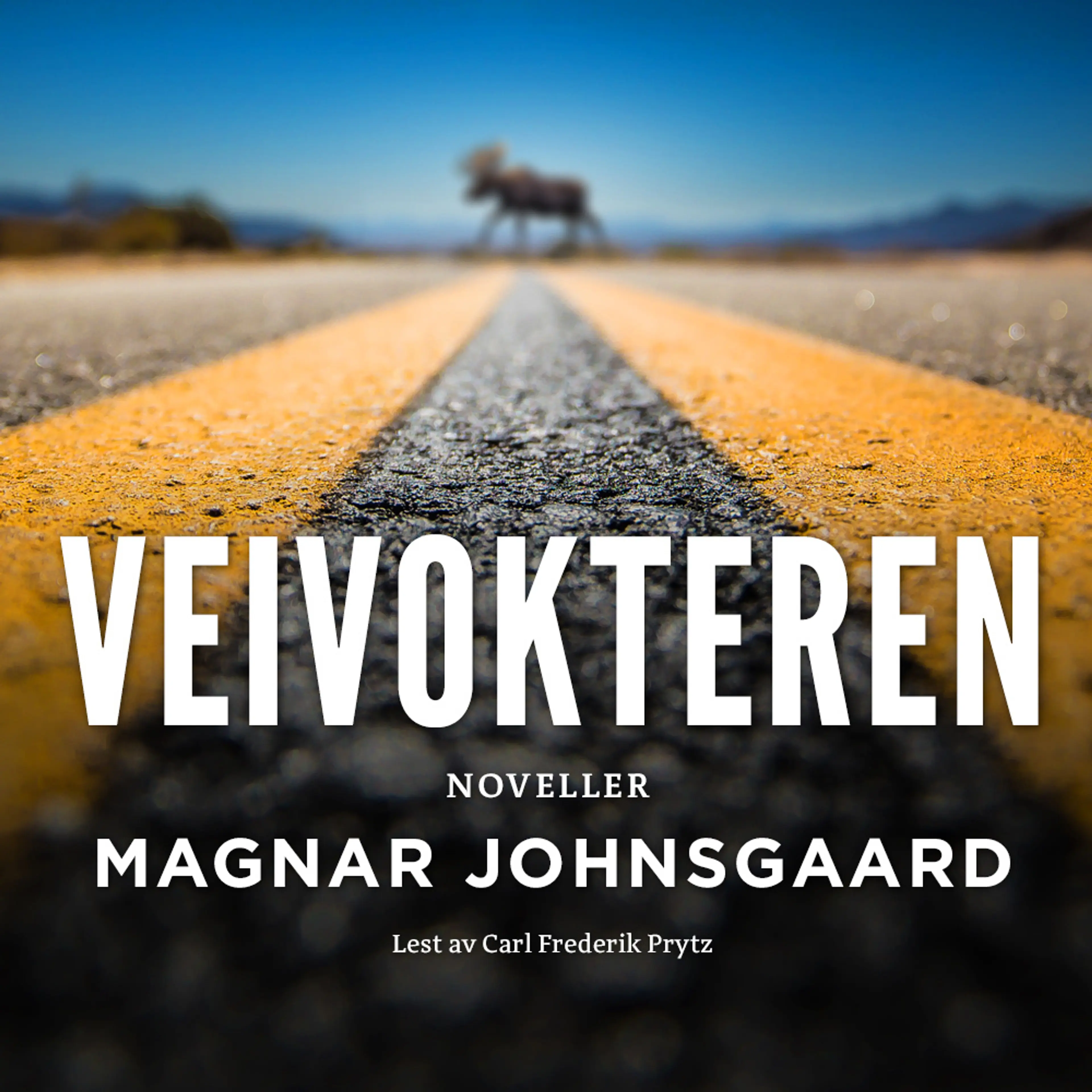 Omslag Veivokteren av Magnar Johnsgaard (Lydbok)