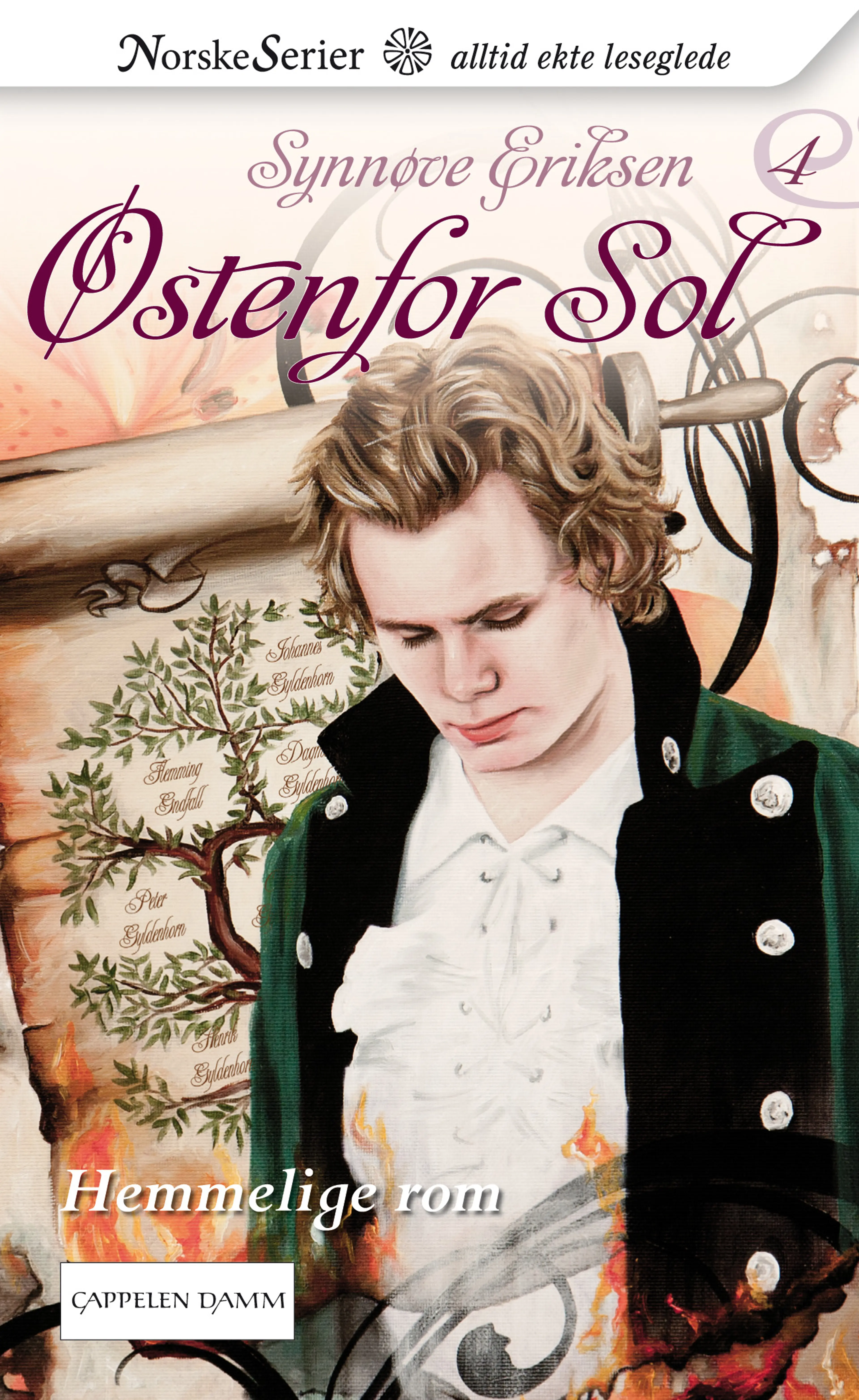Omslag Hemmelige rom av Synnøve Eriksen (Ebok)