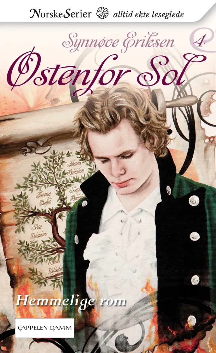 Omslag Hemmelige rom av Synnøve Eriksen (Ebok)
