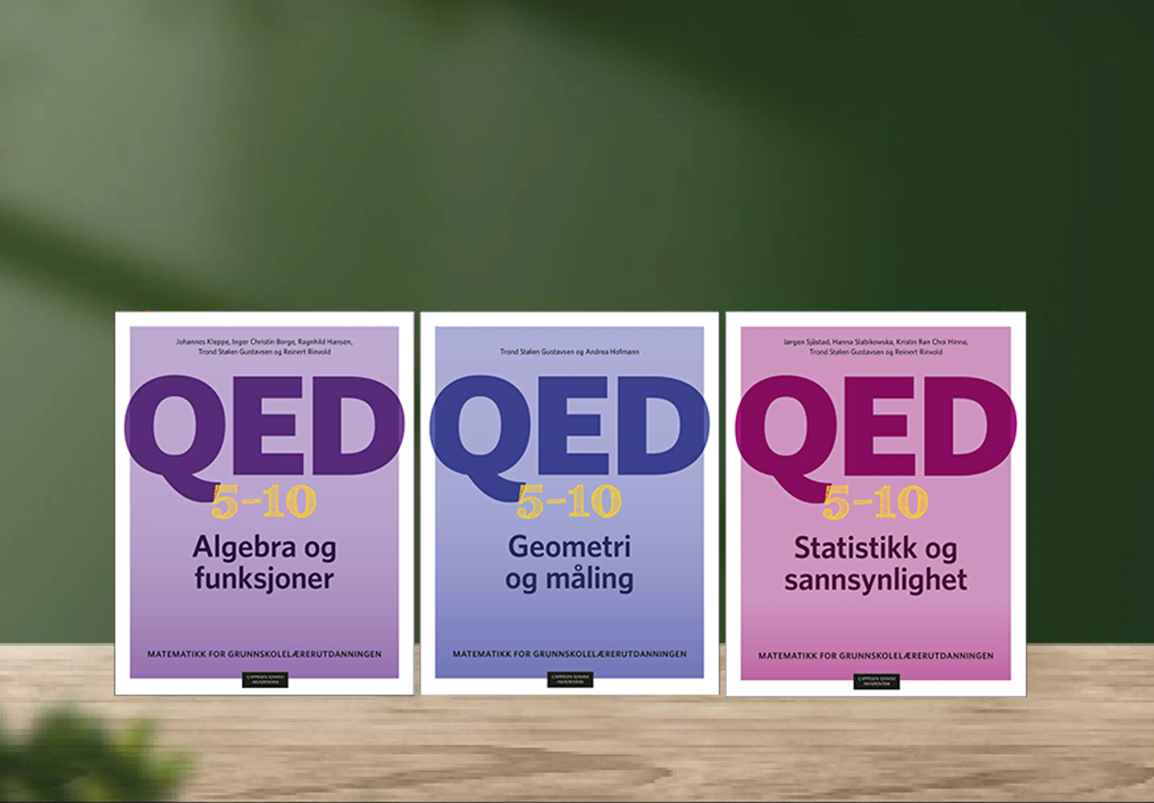 QED 5–10: Matematikk for grunnskolelærerutdanningen