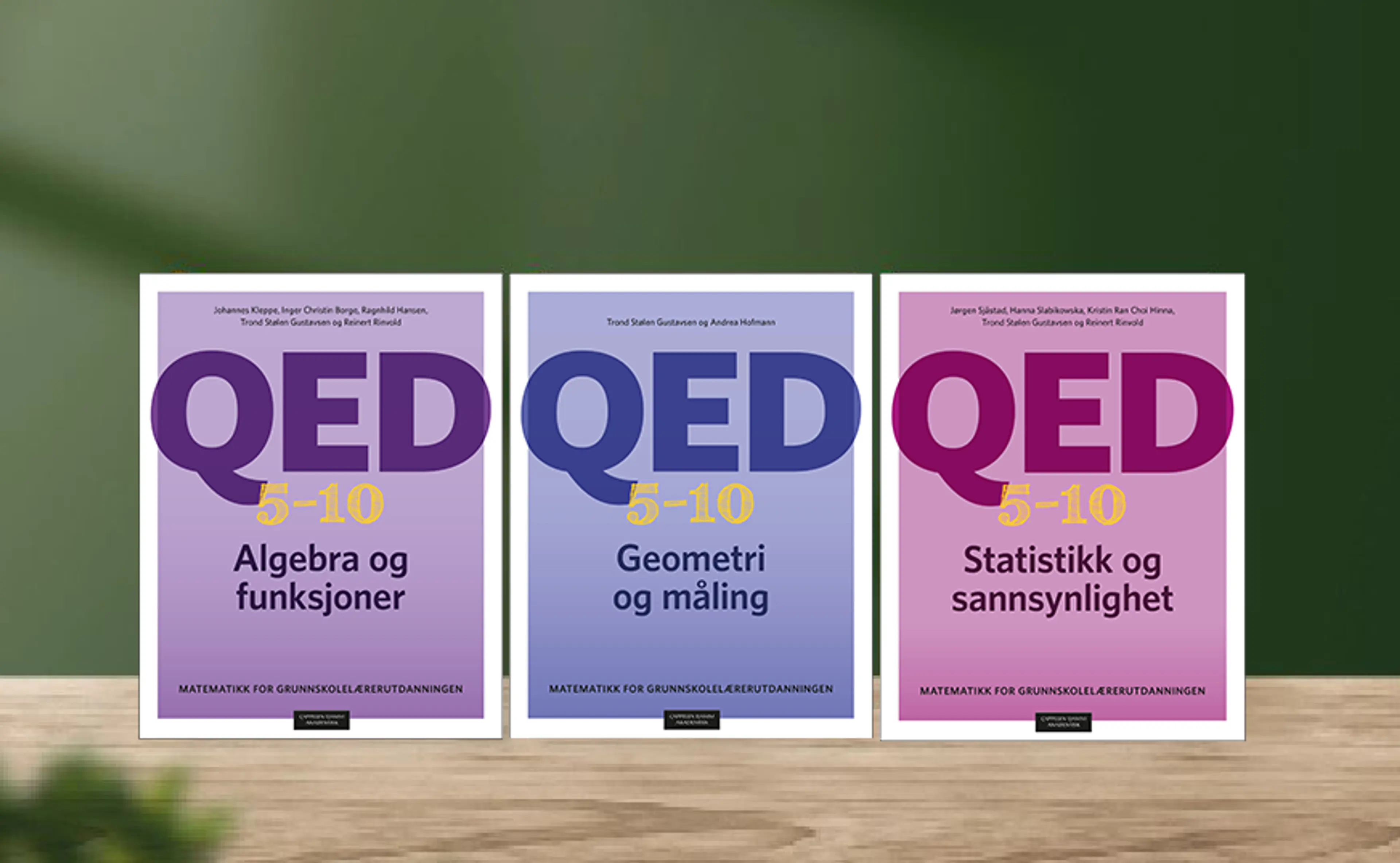 QED 5–10: Matematikk for grunnskolelærerutdanningen
