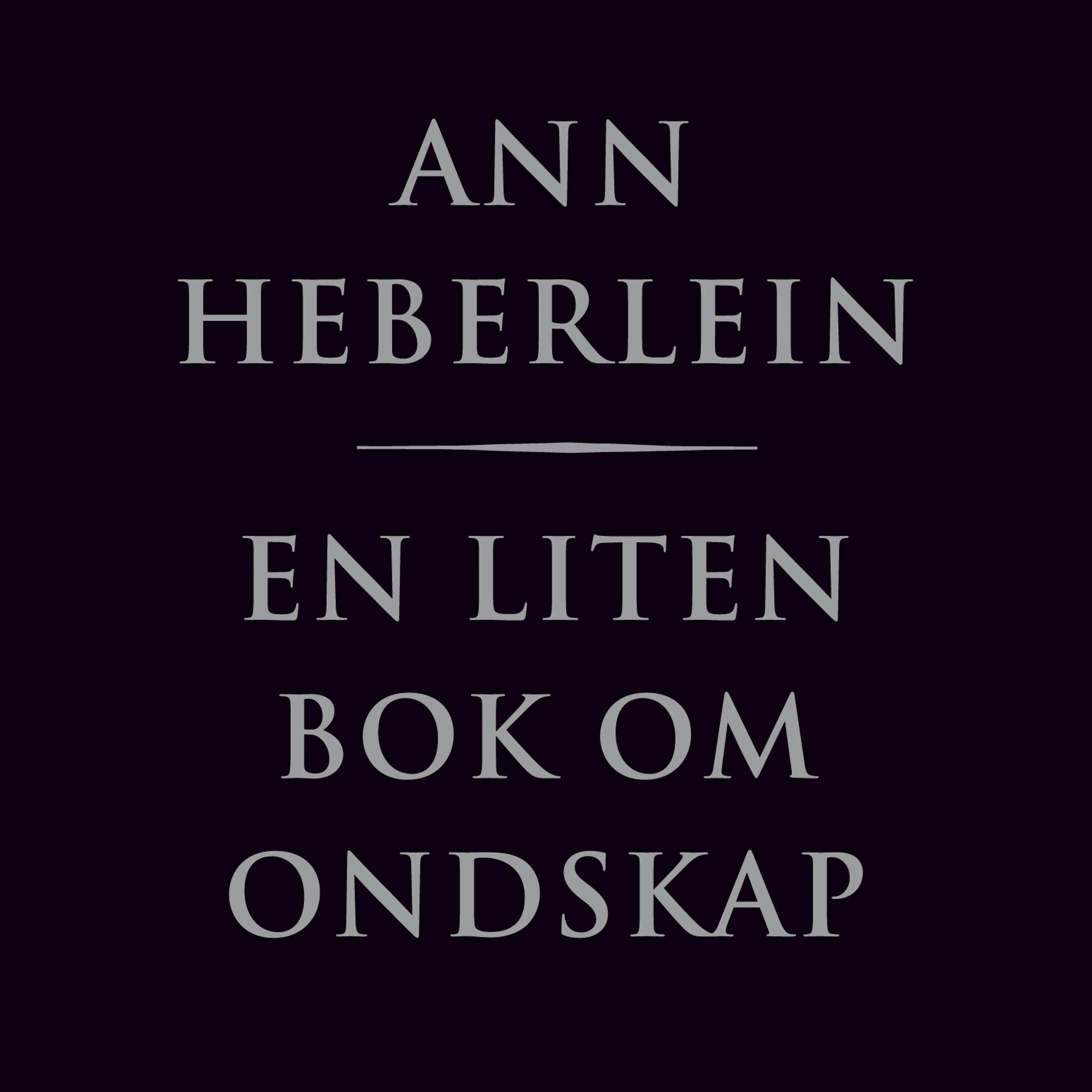 Omslag En liten bok om ondskap av Ann Heberlein (Lydbok)