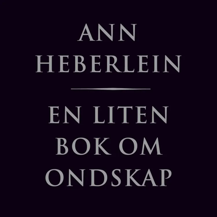 Omslag En liten bok om ondskap av Ann Heberlein (Lydbok)