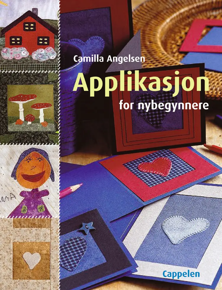 Omslag Applikasjon for nybegynnere (Innbundet)