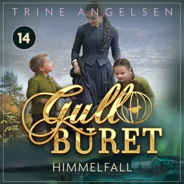 Omslag Himmelfall av Trine Angelsen (Lydbok)
