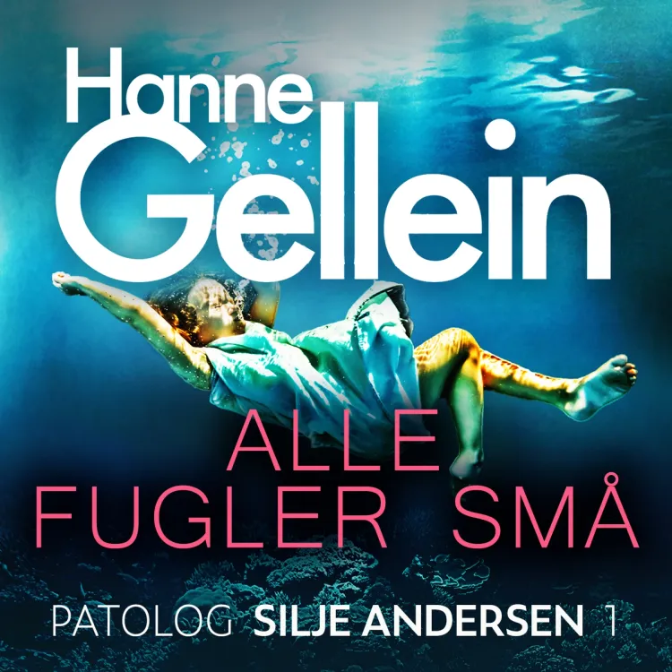 Omslag Alle fugler små av Hanne Gellein (Lydbok)