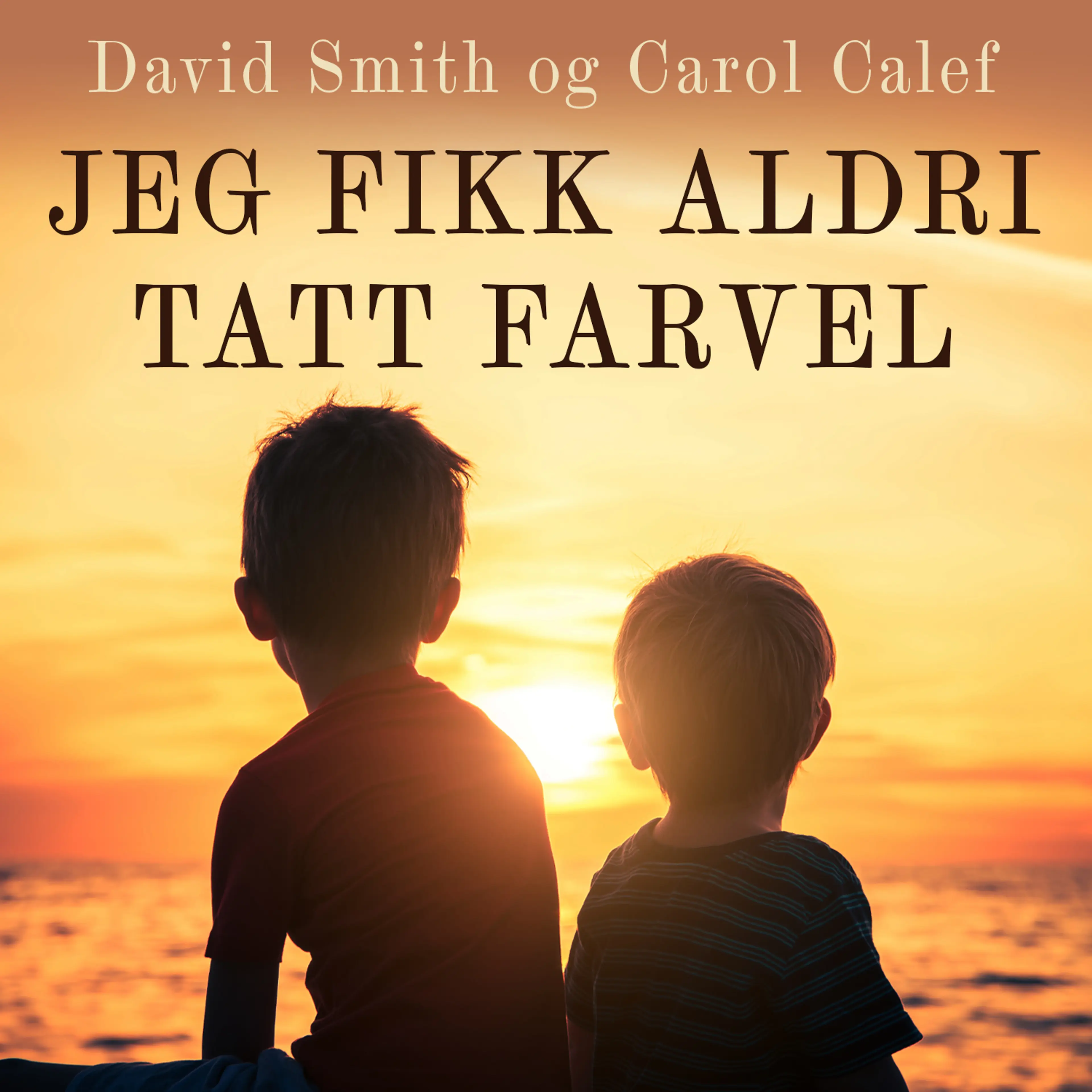 Omslag Jeg fikk aldri sagt farvel av Carol Calef og David Smith (Lydbok)