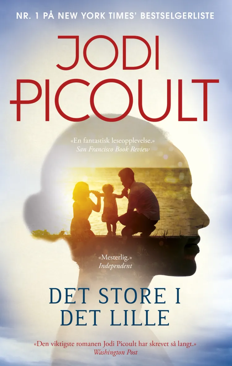 Omslag Det store i det lille av Jodi Picoult (Ebok)