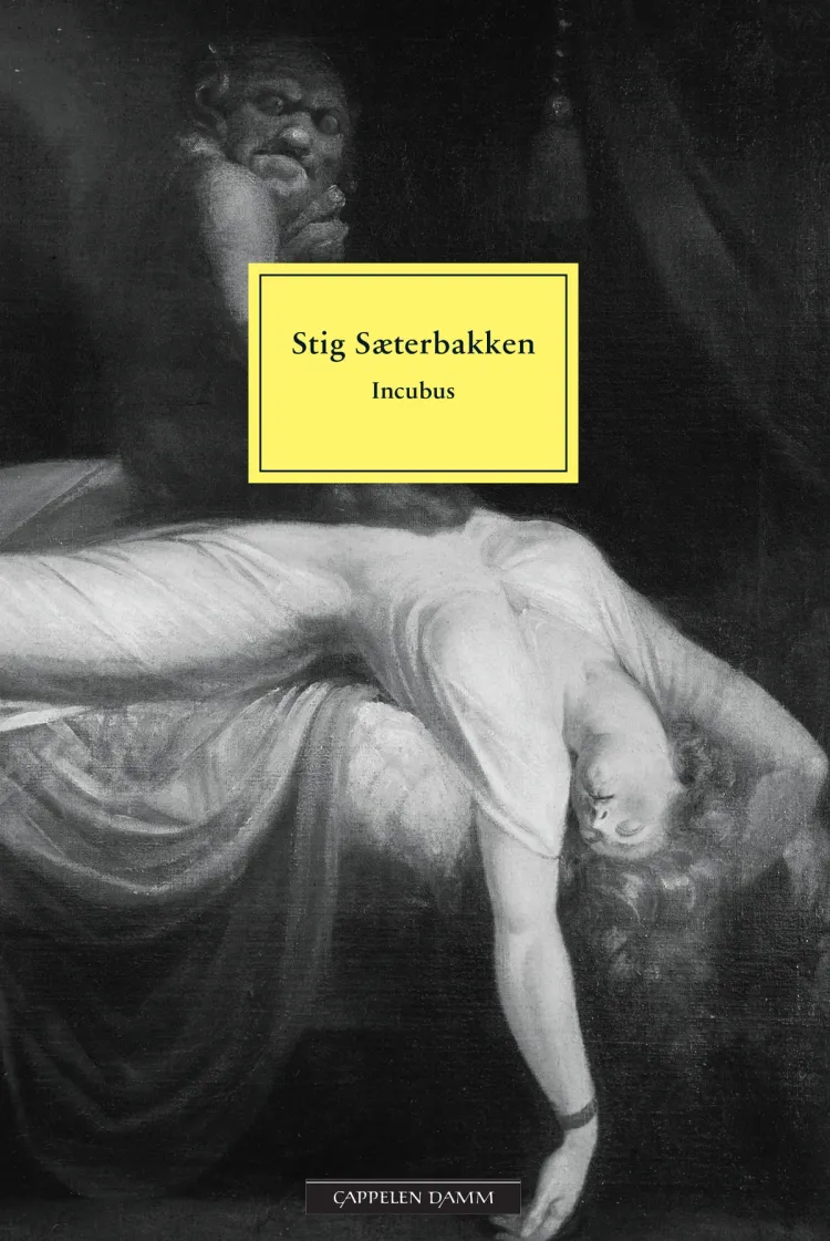 Omslag Incubus av Stig Sæterbakken (Ebok)