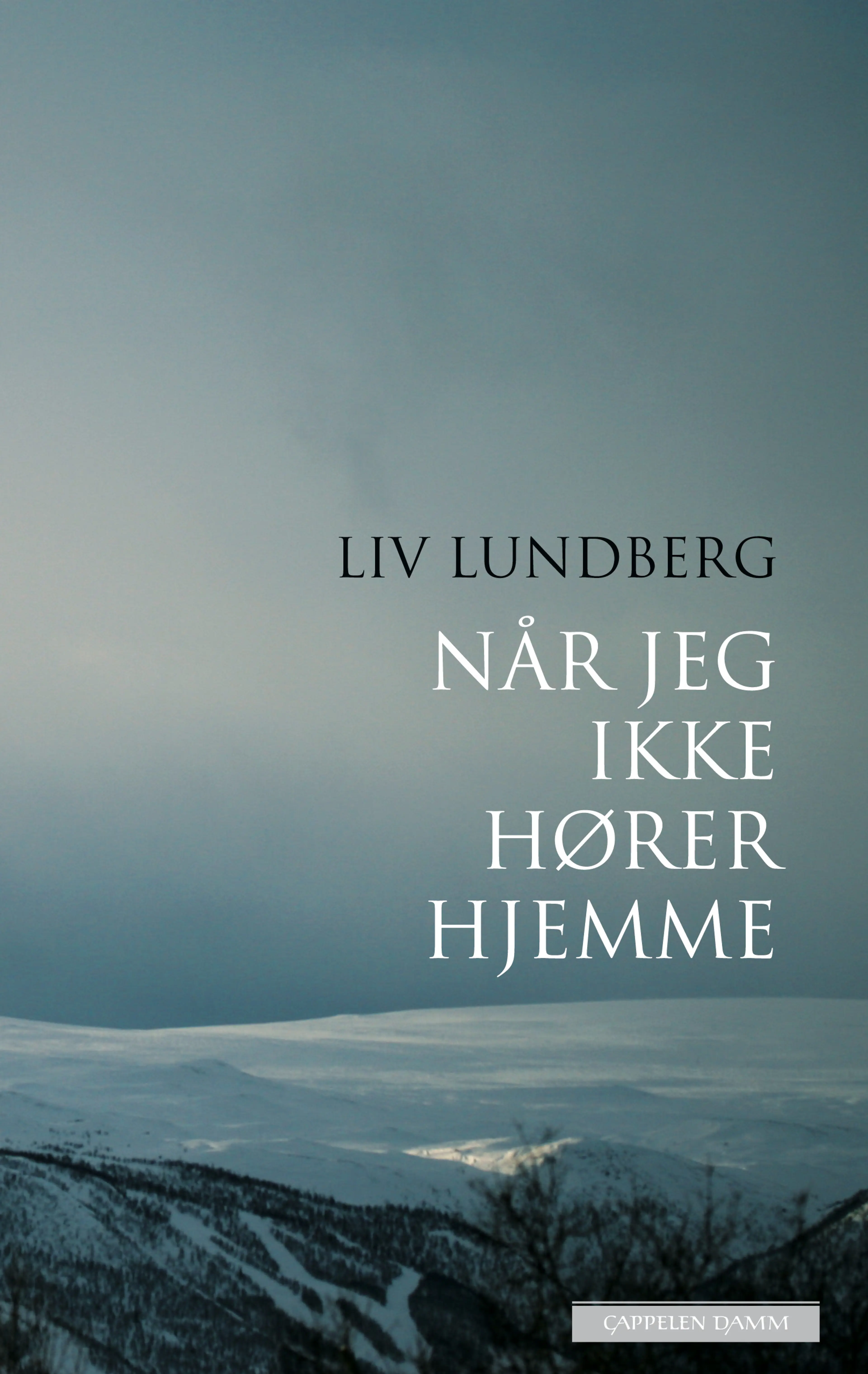 Omslag Når jeg ikke hører hjemme av Liv Lundberg (Innbundet)