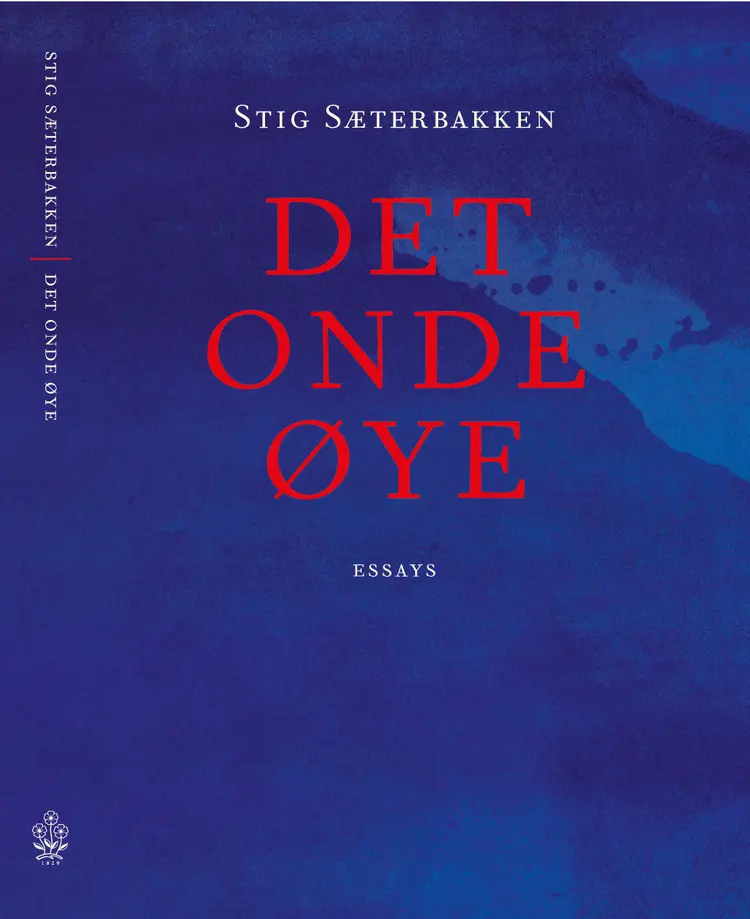 Omslag Det onde øye av Stig Sæterbakken (Heftet)