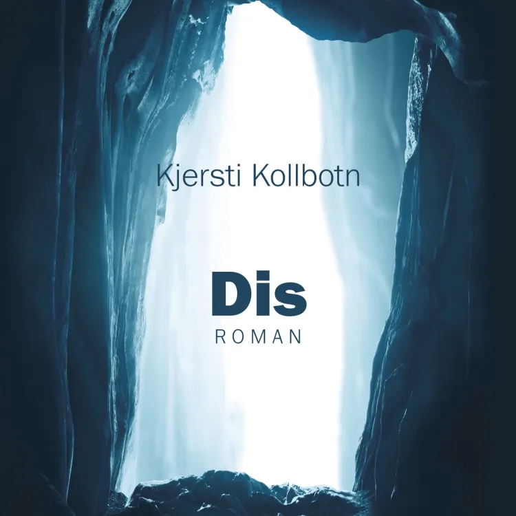Omslag Dis av Kjersti Kollbotn (Lydbok)