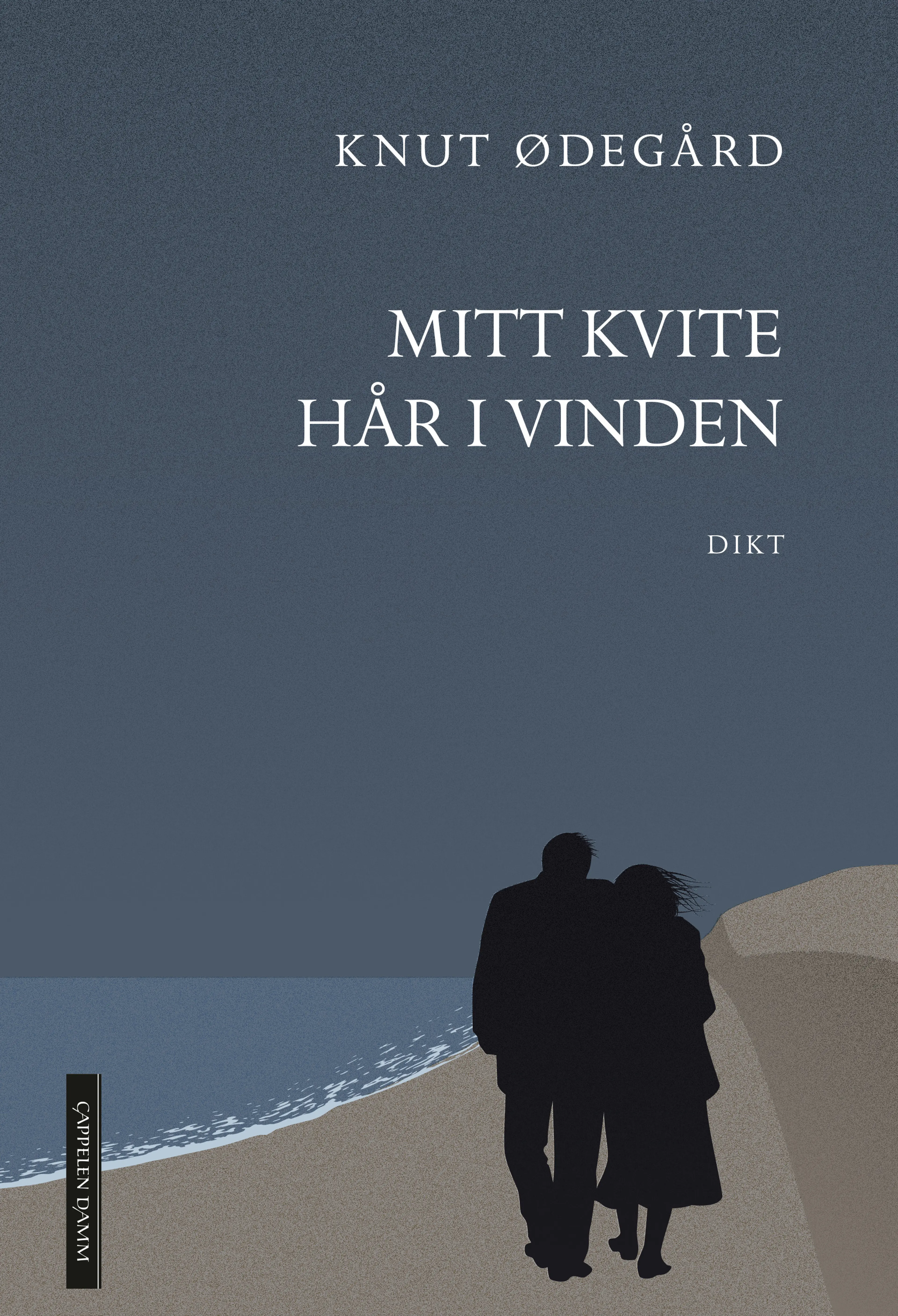 Omslag Mitt kvite hår i vinden av Knut Ødegård (Innbundet)