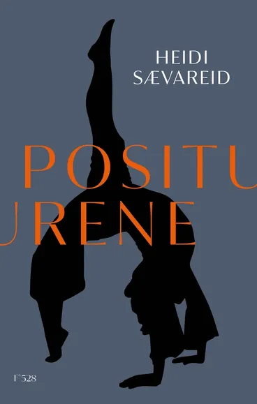 Omslag Positurene av Heidi Sævareid (Innbundet)