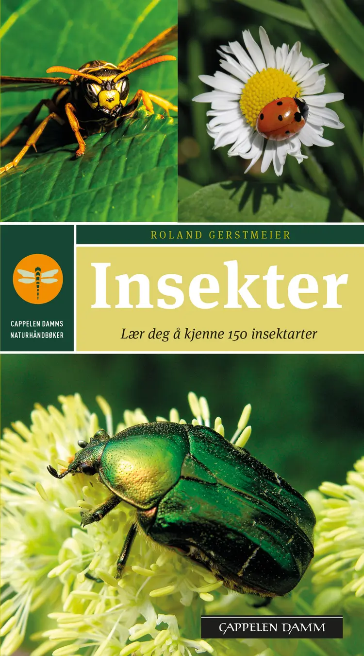 Omslag Insekter av Roland Gerstmeier (Heftet)