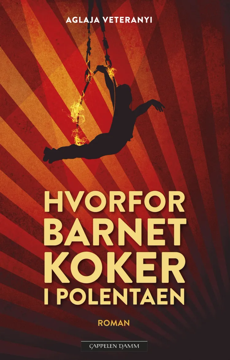 Omslag Hvorfor barnet koker i polentaen av Aglaja Veteranyi (Innbundet)