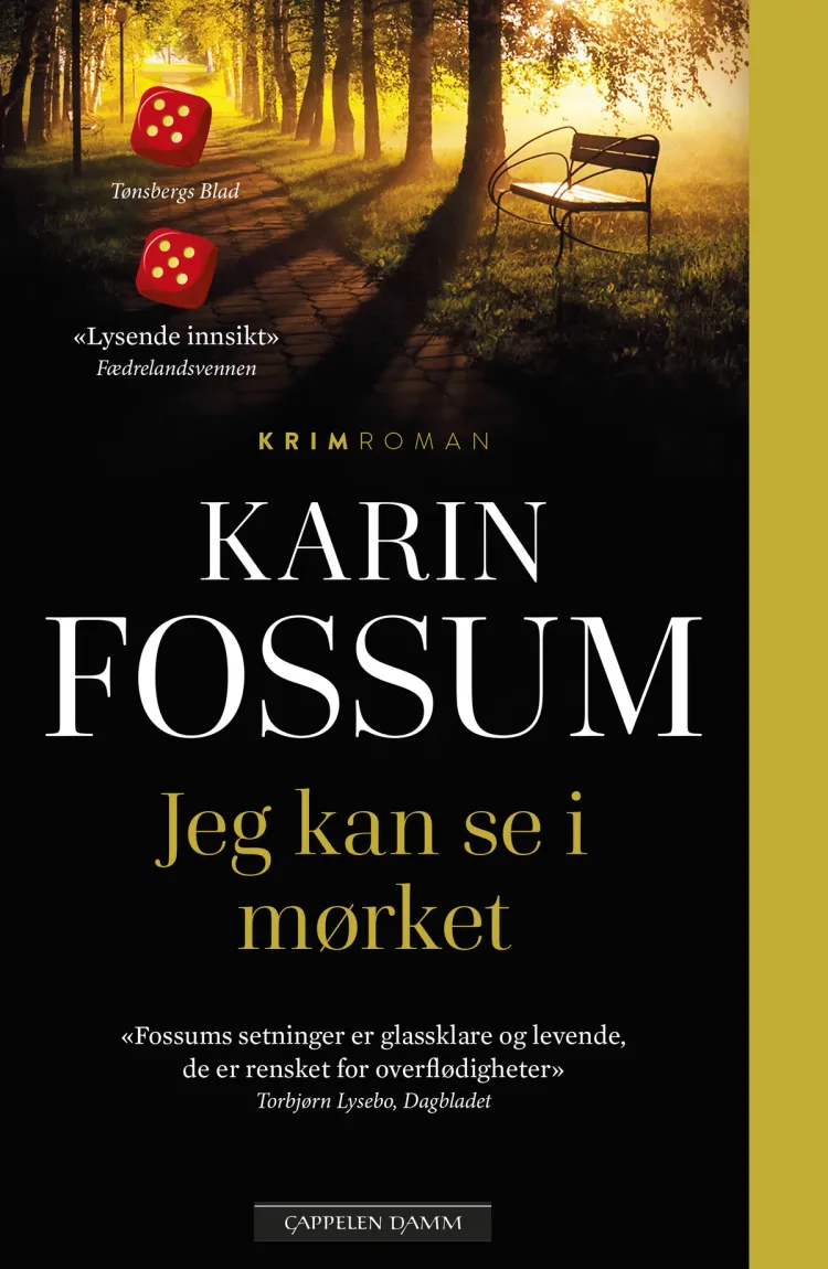 Omslag Jeg kan se i mørket av Karin Fossum (Heftet)