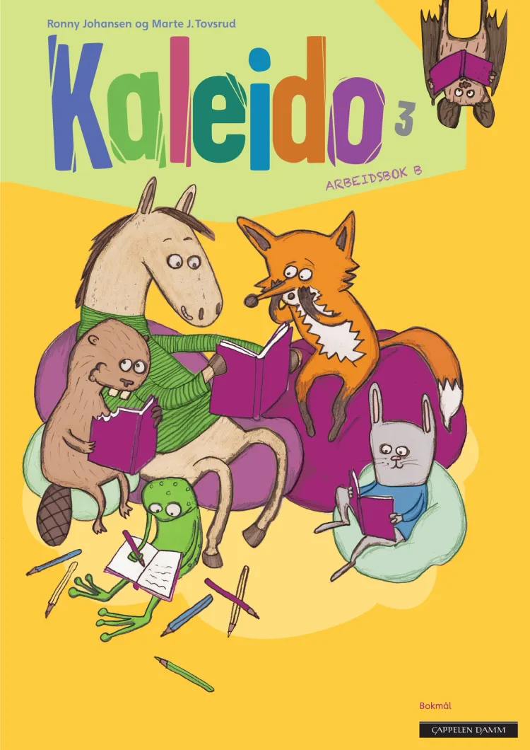 Omslag Kaleido 3 Arbeidsbok B av Ronny Johansen og Marte Jørgensen Tovsrud (Heftet)