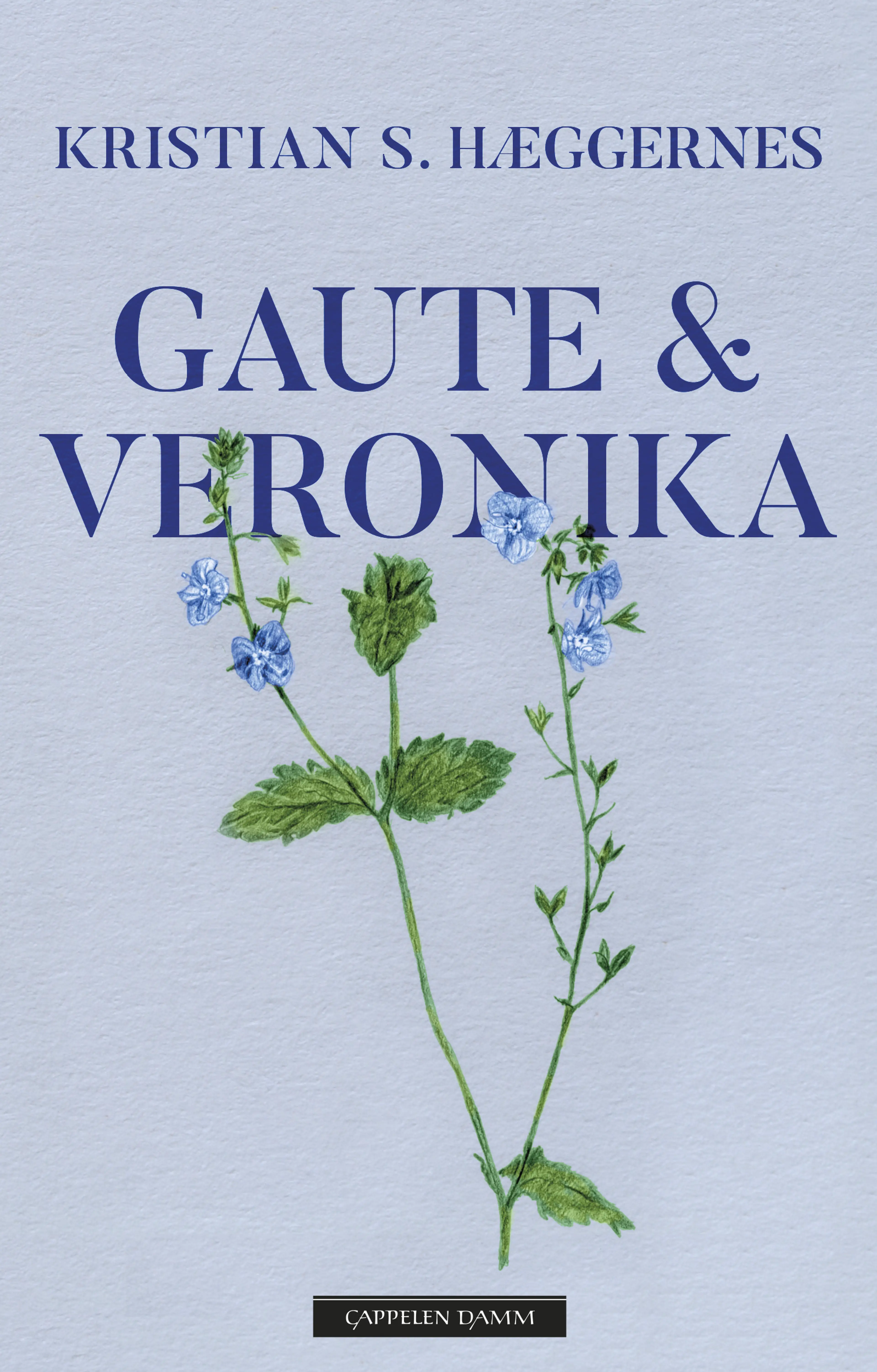 Omslag Gaute & Veronika av Kristian S. Hæggernes (Ebok)