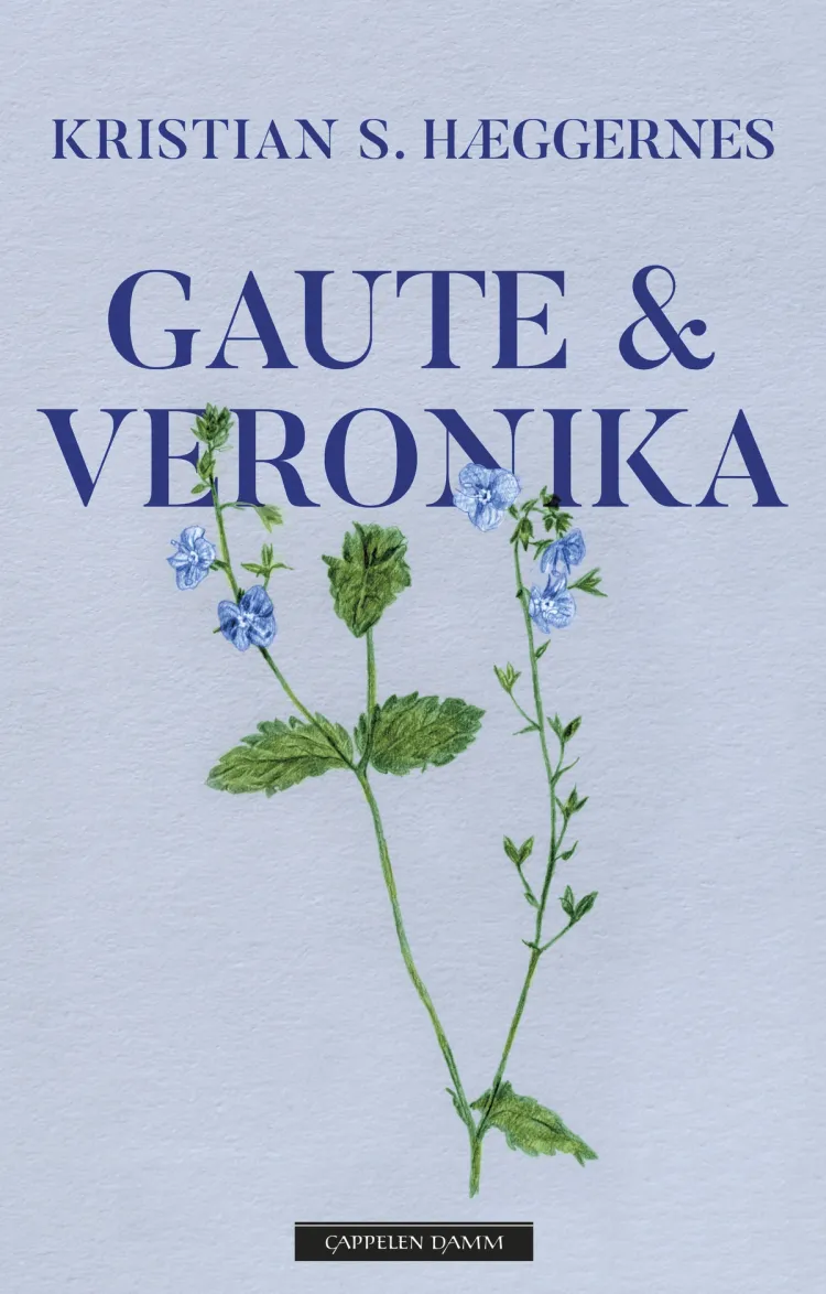 Omslag Gaute & Veronika av Kristian S. Hæggernes (Ebok)
