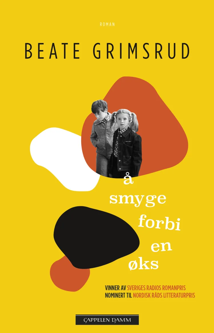 Omslag Å smyge forbi en øks av Beate Grimsrud (Ebok)