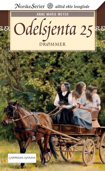 Omslag Drømmer av Anne Marie Løvlie Meyer (Ebok)
