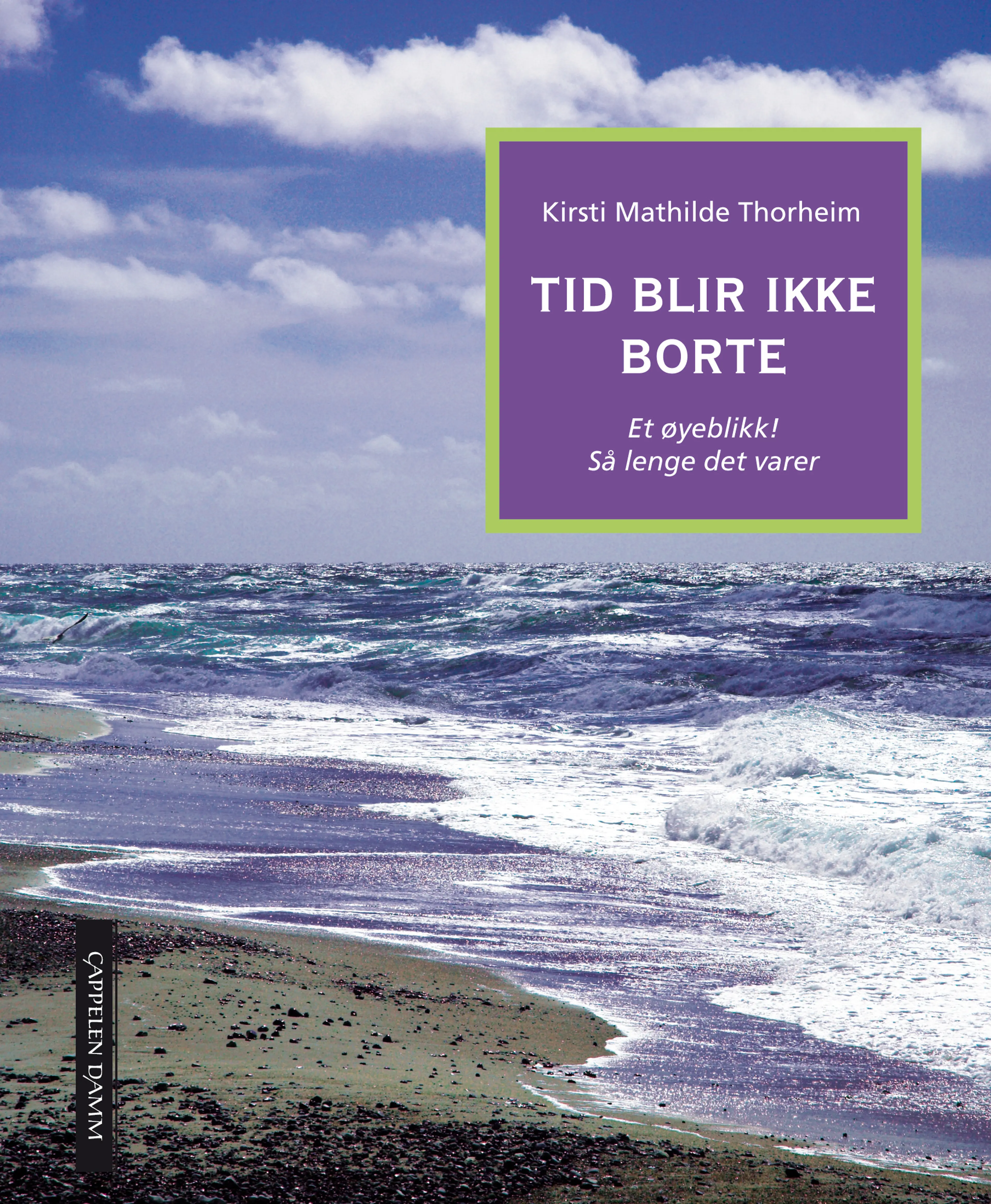 Omslag Tid blir ikke borte av Kirsti Mathilde Thorheim (Innbundet)