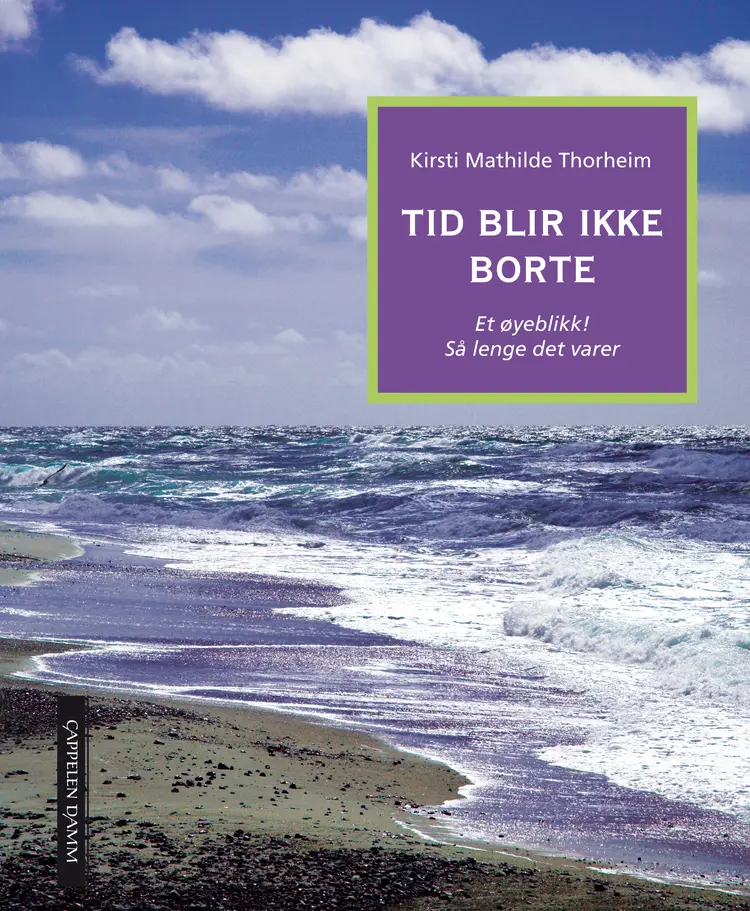 Omslag Tid blir ikke borte av Kirsti Mathilde Thorheim (Innbundet)