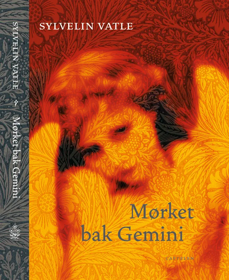 Omslag Mørket bak Gemini av Sylvelin Vatle (Innbundet)