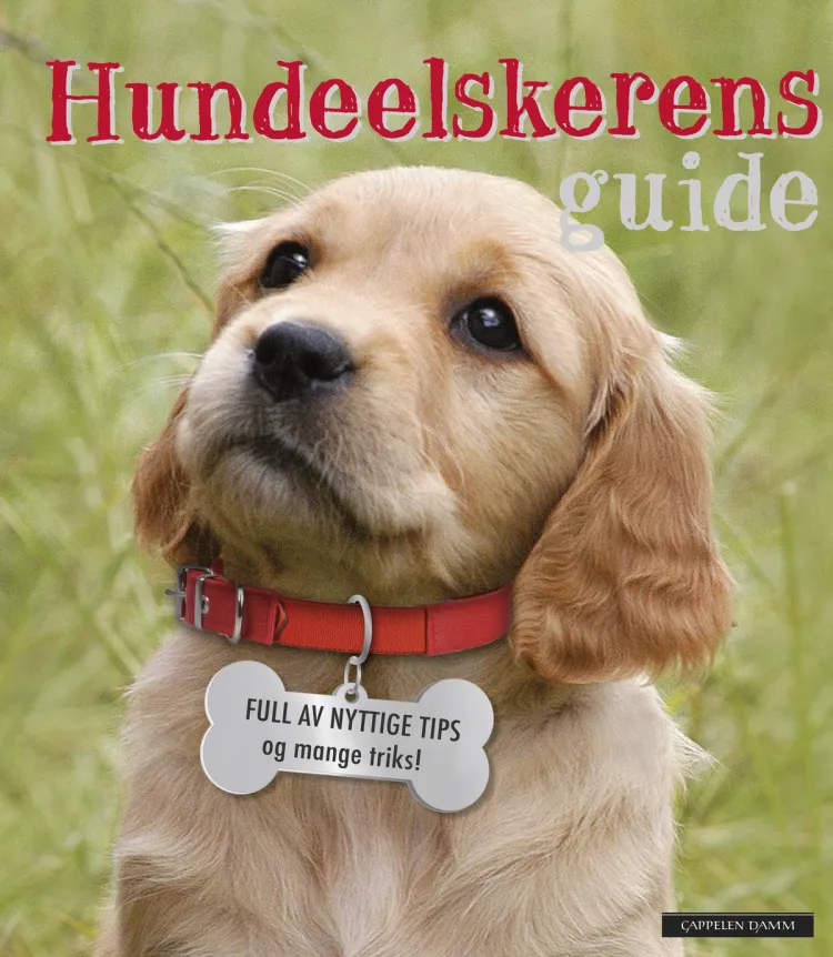 Omslag Hundeelskerens guide av Honor Head (Innbundet)