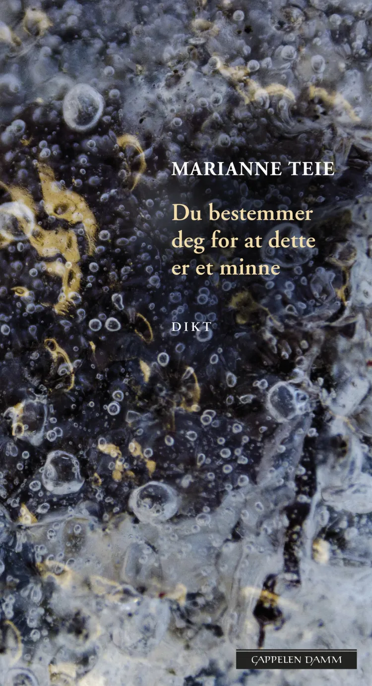 Omslag Du bestemmer deg for at dette er et minne av Marianne Teie (Ebok)